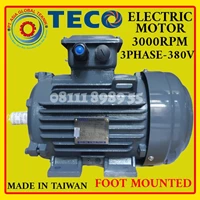 TECO AESV1S 18.5KW 25HP-3PHASE 2POLE B3 FOOT MOUNTED ELECTRCIC MOTOR