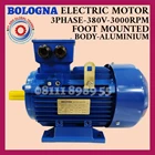 BOLOGNA ELECTRIC MOTOR 3 PHASE 1HP/0.75KW/2POLE/B3 FRAME 801-2 1