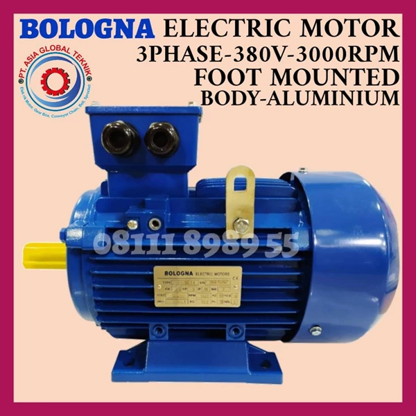 BOLOGNA ELECTRIC MOTOR 3 PHASE 1HP/0.75KW/2POLE/B3 FRAME 801-2