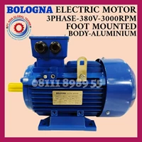 BOLOGNA ELECTRIC MOTOR 3 PHASE 1.5HP/1.1KW/2POLE/B3 FRAME 802-2